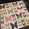 Butterfly Whimsy